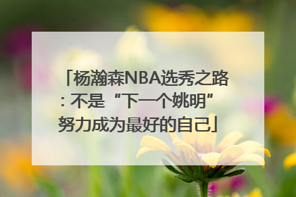 杨瀚森NBA选秀之路：不是“下一个姚明” 努力成为最好的自己