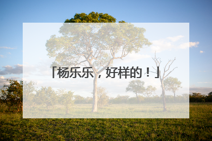 杨乐乐，好样的！