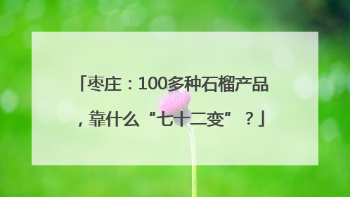 枣庄：100多种石榴产品，靠什么“七十二变”？