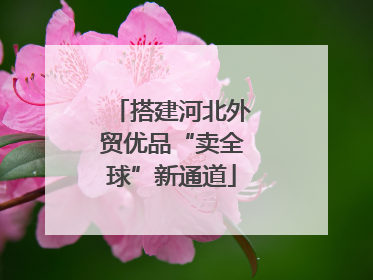 搭建河北外贸优品“卖全球”新通道