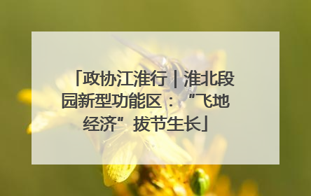 政协江淮行｜淮北段园新型功能区：“飞地经济”拔节生长