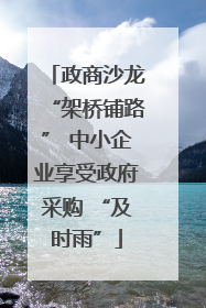 政商沙龙“架桥铺路” 中小企业享受政府采购 “及时雨”