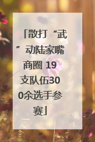 散打“武”动陆家嘴商圈 19支队伍300余选手参赛