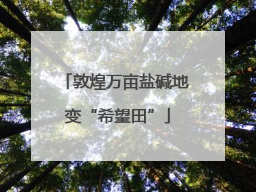 敦煌万亩盐碱地变“希望田”