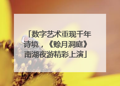 数字艺术重现千年诗境，《赊月洞庭》南湖夜游精彩上演