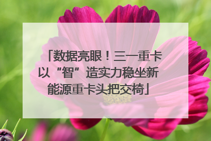 数据亮眼！三一重卡以“智”造实力稳坐新能源重卡头把交椅