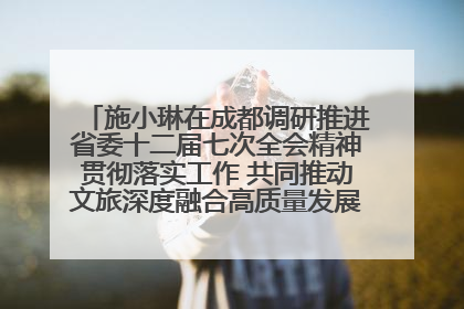 施小琳在成都调研推进省委十二届七次全会精神贯彻落实工作 共同推动文旅深度融合高质量发展 加快打造支柱产业民生产业幸福产业