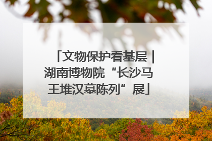 文物保护看基层｜湖南博物院“长沙马王堆汉墓陈列”展