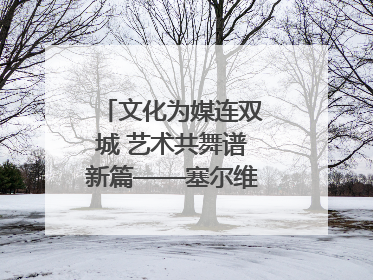 文化为媒连双城 艺术共舞谱新篇——塞尔维亚科瓦契察市代表团访问日照