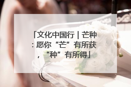 文化中国行｜芒种：愿你“芒”有所获，“种”有所得