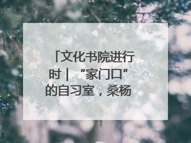 文化书院进行时｜“家门口”的自习室，桑杨社区织就15分钟学习生活圈