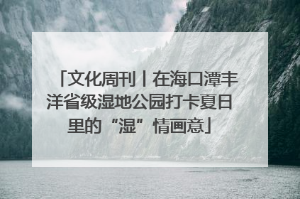 文化周刊丨在海口潭丰洋省级湿地公园打卡夏日里的“湿”情画意