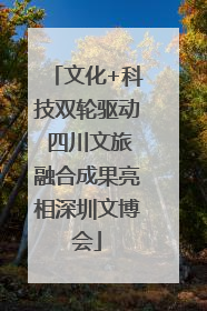 文化+科技双轮驱动 四川文旅融合成果亮相深圳文博会