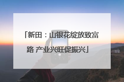 新田：山银花绽放致富路 产业兴旺促振兴