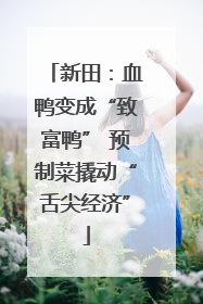 新田：血鸭变成“致富鸭” 预制菜撬动“舌尖经济”