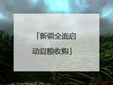 新疆全面启动夏粮收购