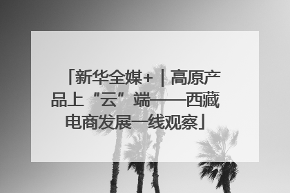 新华全媒+｜高原产品上“云”端——西藏电商发展一线观察