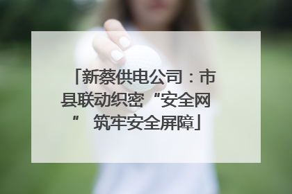新蔡供电公司：市县联动织密“安全网” 筑牢安全屏障