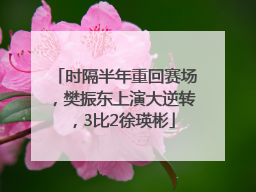 时隔半年重回赛场，樊振东上演大逆转，3比2徐瑛彬