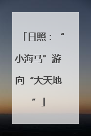 日照：“小海马”游向“大天地”