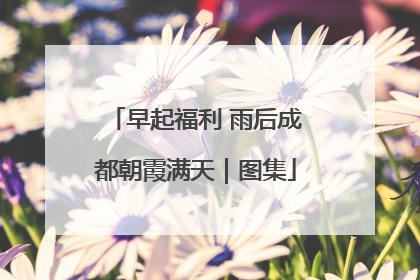 早起福利 雨后成都朝霞满天｜图集
