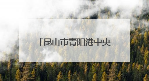 昆山市青阳港中央商务区暨重点片区推介合作发布会举行