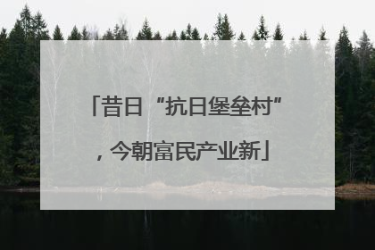 昔日“抗日堡垒村”，今朝富民产业新