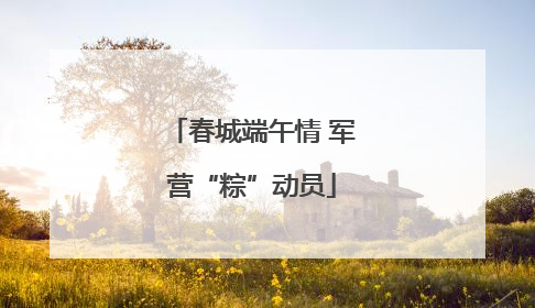 春城端午情 军营“粽”动员