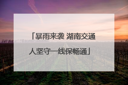 暴雨来袭 湖南交通人坚守一线保畅通