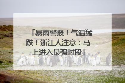 暴雨警报！气温猛跌！浙江人注意：马上进入最强时段