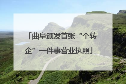 曲阜颁发首张“个转企”一件事营业执照