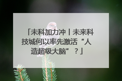 未科加力冲丨未来科技城何以率先激活“人造超级大脑”？
