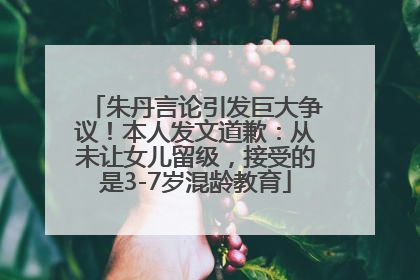 朱丹言论引发巨大争议！本人发文道歉：从未让女儿留级，接受的是3-7岁混龄教育