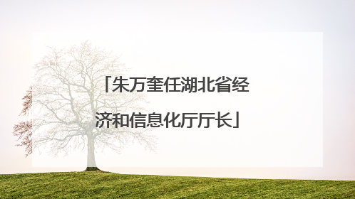 朱万奎任湖北省经济和信息化厅厅长