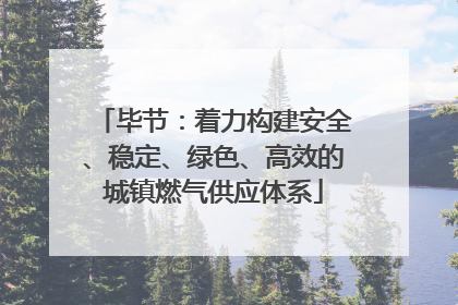 毕节：着力构建安全、稳定、绿色、高效的城镇燃气供应体系
