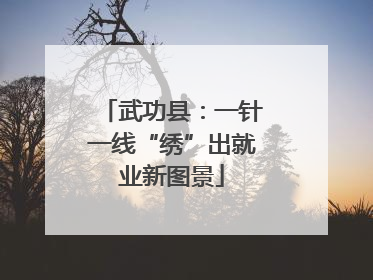 武功县：一针一线“绣”出就业新图景