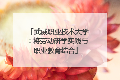 武威职业技术大学：将劳动研学实践与职业教育结合