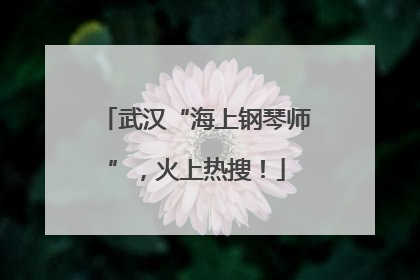 武汉“海上钢琴师”，火上热搜！