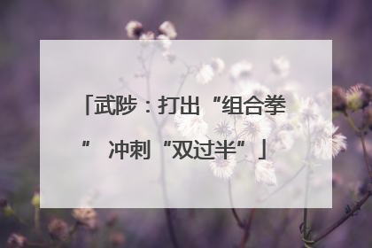 武陟：打出“组合拳” 冲刺“双过半”