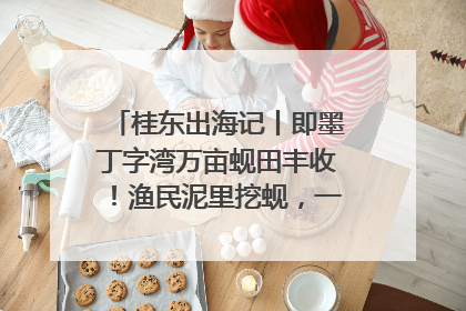 桂东出海记丨即墨丁字湾万亩蚬田丰收！渔民泥里挖蚬，一天上岸过千斤