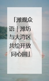 潍观众语｜潍坊与大湾区共绘开放同心圆