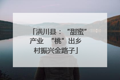 潢川县：“甜蜜”产业  “桃”出乡村振兴金路子