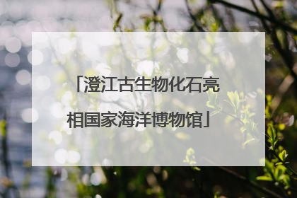 澄江古生物化石亮相国家海洋博物馆