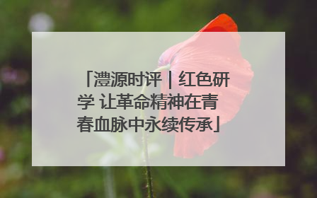 澧源时评｜红色研学 让革命精神在青春血脉中永续传承