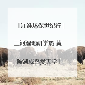 江淮环保世纪行｜三河湿地研学热 黄陂湖成鸟类天堂