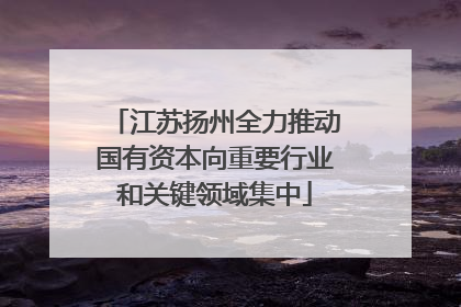 江苏扬州全力推动国有资本向重要行业和关键领域集中