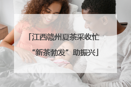 江西赣州夏茶采收忙 “新茶勃发”助振兴
