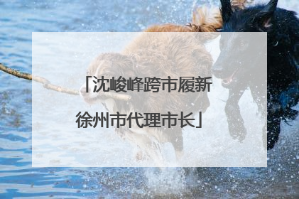 沈峻峰跨市履新徐州市代理市长