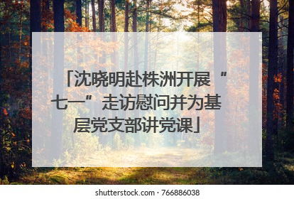 沈晓明赴株洲开展“七一”走访慰问并为基层党支部讲党课