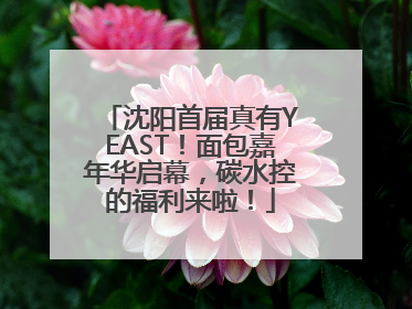沈阳首届真有YEAST！面包嘉年华启幕，碳水控的福利来啦！